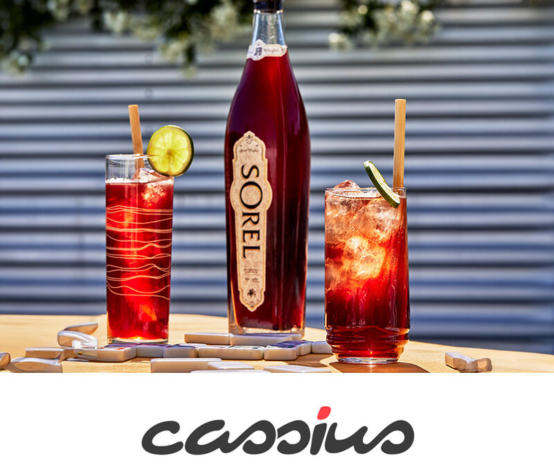 SET OFF YOUR 4TH OF JULY CELEBRATION WITH THESE DRINK IDEAS