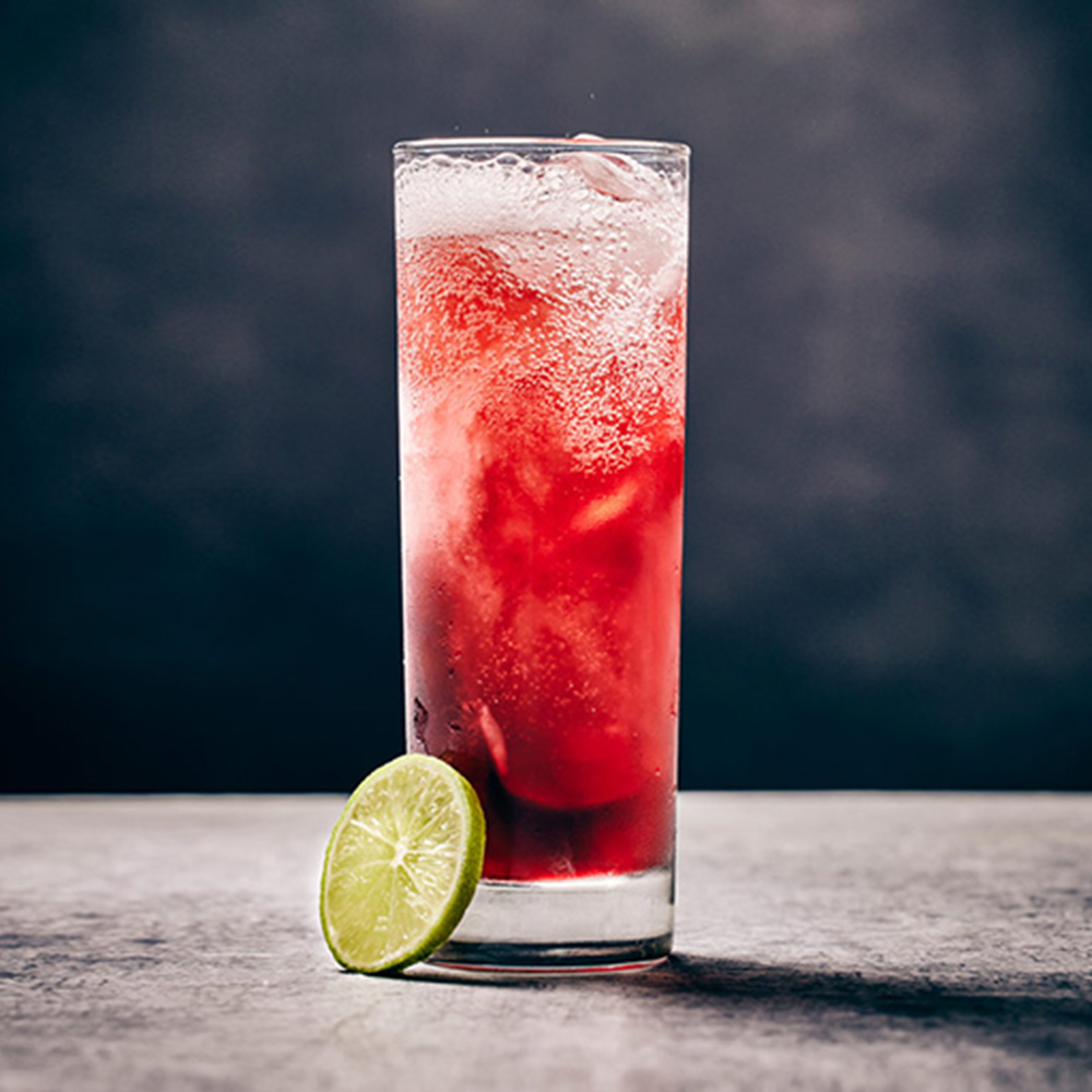 Sorel Hibiscus Mule