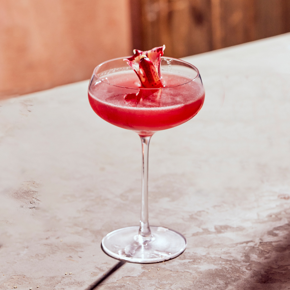 sorel_spring_jackquiri